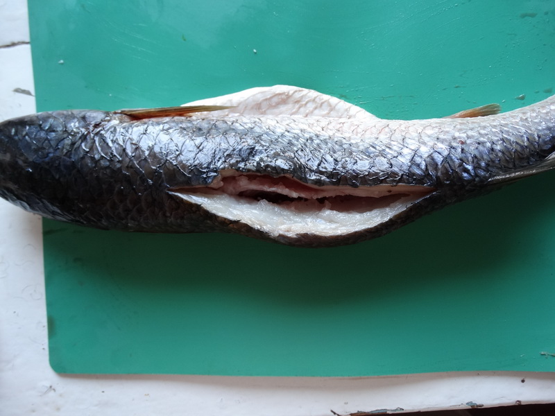 Рецепт фаршированной рыбы «По-новому». Очень нравится такая формовка: кость вырезается, а начинки помещается очень много