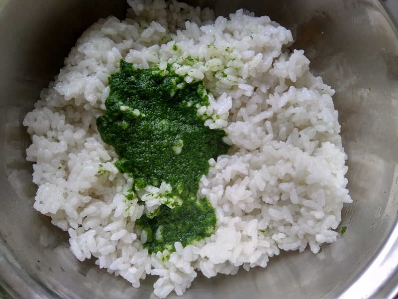 Рис зеленого цвета. Зеленый рис. Рис Green. Ароматный зеленый рис. Рис круглый зеленый.